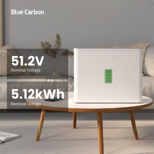 Blu carbonio 5kWh 48V 6000 cicli di batteria al litio solare produttore Solaire Batterie 51.2V 100Ah Lifepo4 pacco batteria - Product Image 5