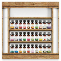 Huiles essentielles de menthe poivrée 100% naturelles en gros, en stock, 10 ml, pour massage corporel, diffuseur, plusieurs options