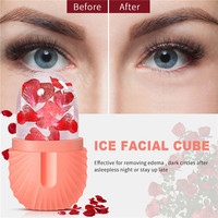 Outil de soin de la peau Cube de thérapie de massage Rétrécir les pores Cube de glace pour le visage Beauté du visage Rouleau de glace pour le visage et les yeux
