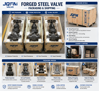 Vanne à opercule en acier forgé A105 à brides classe 300 OS&Y à tige montante haute pression pour usage industriel OEM