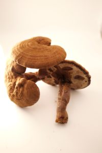 Чистый травяной китайский красный Lingzhi дикий сушеный китайский Ganoderma Lucidum <span class=keywords><strong>Reishi</strong></span> - Product Image 3