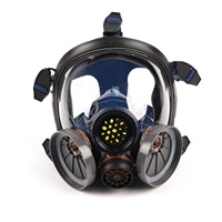 Construction ANSI Spray Painting Sécurité Masque à gaz respiratoire intégral pour les radiations