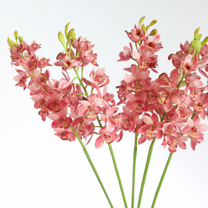Orquídea Cymbidium de 80 cm con Recubrimiento de Látex, Flor Artificial Realista para Decoración de Fiestas y Hogar, Venta al Por Mayor - Product Image 5