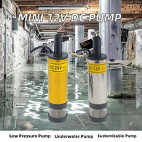 Pompa Mini Submersible Listrik DC 12V/24V Portabel Kapasitas 12L/menit Cangkang Paduan Aluminium untuk Transfer Bahan Bakar Pompa Penyedot Air