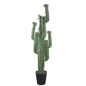 Nuovo stile albero Bonsai pianta di plastica grande <span class=keywords><strong>Cactus</strong></span> artificiale per la decorazione del Patio - Product Image 6