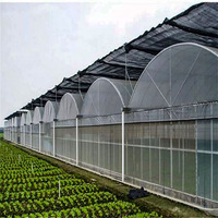 Serre agricole multi-travées de 8m de large | Membrane PE L'encapsulation complète permet l'accélération de la croissance des plantes