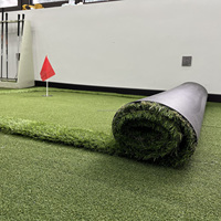 Tapis de pratique professionnel Golf Putting Green Intérieur