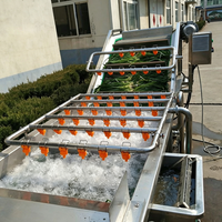 304 RVS groente- en fruitwasmachine, fruitwasser voor bessen, chilipepers en wortelgroenten productielijnen