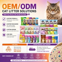 Fabricant de litière pour chat en bentonite en vrac, service OEM ODM, forte absorption, faible teneur en poussière