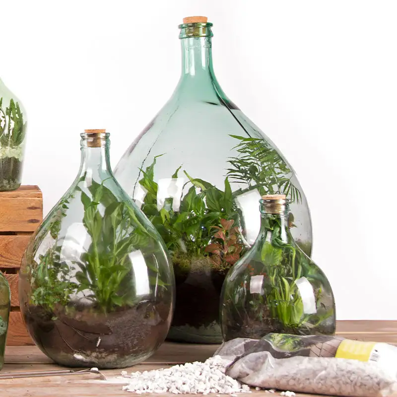 Customized hanging glass terrarium geometric glasswholesale wood vase planter terrarium with lid
