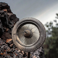 Kit de vélo électrique Fatbike 750W, produit le plus vendu, vélo électrique 48V