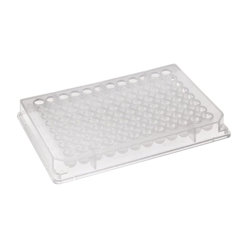 Laboratory Glass Microscope Slides Factory Microscope