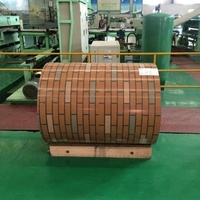 Tôle d'acier galvanisé prélaqué (PPGI) bicolore Z40, peinture 15/20, bobine d'acier galvanisé PPGI pour toiture