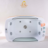 Baignoire autoportante en PET pour animaux de compagnie avec ozone Spa Baignoire pour chiens Machine de massage à bulles d'air pour le nettoyage des animaux de compagnie Bain