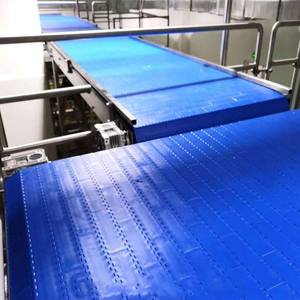 Fabriek Aangepaste Transportband 12 "14'' 18 Inch Plastic Modulaire Riem Helling Transportband Voor Golfkarton Food Grade - Product Image 1