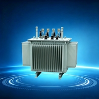 Transformador Sumergido en Aceite S11-M-400/500/630kVA: Alta Eficiencia, Cero Mantenimiento y Durabilidad en Climas Extremos para Energía Global