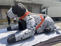 Modèle gonflable géant personnalisé, réplique d'animal, chien mascotte, tunnels pour événements sportifs, gonflables publicitaires