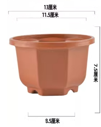 Brown13cm