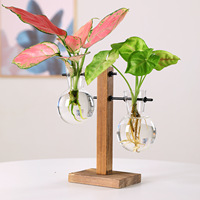Cadre en bois vase de plantes hydroponiques bouteille en verre sphérique petit récipient fleurs vertes décoration de la maison décoration de table