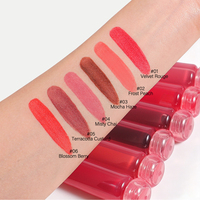 Vente en gros de gloss à lèvres mat en 6 couleurs, fini velours doux, imperméable, haute pigmentation, longue tenue, non collant