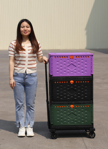 Carrito de Compras Plegable Multiusos Tianyu T750R con Diseño de Plataforma y Ruedas de PU de 4'' - Product Image 5