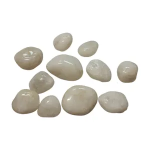 Groothandel China 2-4Cm Witte Pebble Stapsteen Natuurlijke Kiezelsteen Voor Tuindecoratie