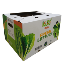 Boîtes en papier de fruits et légumes de haute qualité avec poignées, carton ondulé et épaissi, carton de papier sur mesure