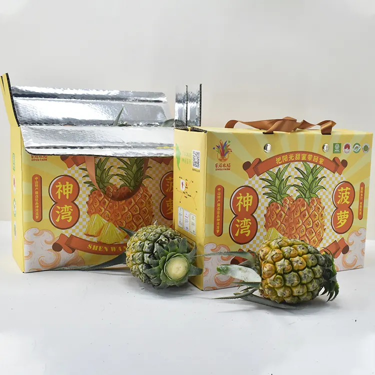 パイナップルフルーツミートケーキピザエビシーフードチキンフィッシュカスタム段ボール断熱ボックス用冷凍食品ボックス包装