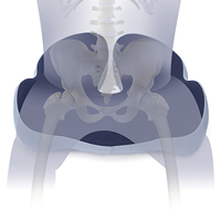 Haute qualité Coccyx orthopédique U forme siège coussin mémoire mousse Gel ergonomique chaise coussinets fesses soutien bureau coussins douleur