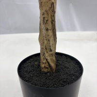 Arbre de fleurs artificielles d'hortensia à toucher réel, 150 cm, plante artificielle blanche pour la décoration de mariage, de maison et de jardin