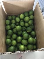 Hoge kwaliteit, natuurlijke zure smaak, pitloze Vietnamese verse citroen en groene limoen, beste prijs groothandel citrusvruchten