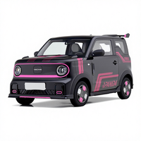 Voitures électriques Geely Panda RWD 2025 à charge rapide, mini-véhicules électriques pour adolescents, voitures à énergie nouvelle, voitures économiques pour les trajets quotidiens