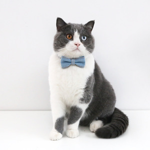 Collier de nœud <span class=keywords><strong>papillon</strong></span> réglable pour petits chiens et chats Accessoire formel pour animaux de compagnie pour les mariages et les fêtes - Product Image 2