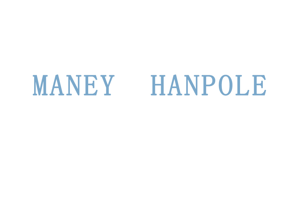 Jiangxi Hanpole Automation Technology Co., Ltd. logo