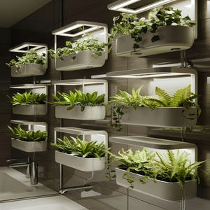 <span class=keywords><strong>ปุ๋ย</strong></span><span class=keywords><strong>ปุ๋ย</strong></span>หมัก<span class=keywords><strong>ไฮ</strong></span><span class=keywords><strong>โดร</strong></span>โปนิกส์พิเศษในรูปแบบผงสำหรับการเพาะปลูกที่มีประสิทธิภาพ - Product Image 4