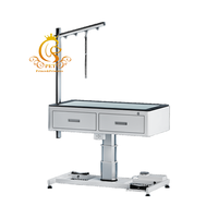 EUR PET Table de toilettage électrique simple et de luxe facile à utiliser Offre Spéciale pour grands animaux de compagnie pour chats et chiens