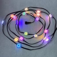 Módulo de píxeles LED de 30mm de diámetro, IP68, 1,8 W, carcasa plana transparente de alambre negro, luces de punto LED, DC24V, 20 unidades