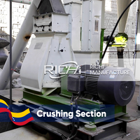 Ligne de fabrication de granulés d'aliments pour animaux RICHI Venezuela - Usine complète de granulation d'aliments pour porcs, poulets, bovins, personnalisable 1-100t/h