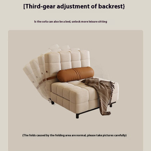 Modern <strong>1</strong>-in-<strong>2</strong> Single Foldable <strong>Sofa</strong> Bed Small-sized Convertible <strong>Sofa</strong> Bed Expandable Living Room Multifunctional Leisure <strong>Sofa</strong> - Product Image 5