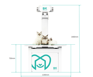Macchina Radiografica Digitale Portatile <span class=keywords><strong>DR</strong></span> per Animali Domestici con Sistema a Raggi X da Pavimento - Product Image 2
