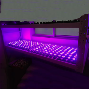 E10 E14 24V 60V 110V 220V LED-Leuchten für Luna Park Vergnügungspark LED-Lampe Pixel Chamäleon Cabochon LED - Product Image 6