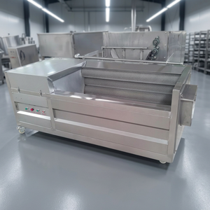Máquina de Limpieza de Frutas y Verduras (Fresa, Arándano) con Motor Central para Plantas de Procesamiento, Ecológica, Acero Inoxidable SS 304, 1.5KW, 220V - Product Image 3