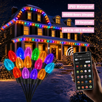 Guirlandes lumineuses de Noël personnalisées de 12 pouces et 15 pouces, C9 E17, 24V, IP65, commande Wifi, ampoules LED C9 pour jardin commercial