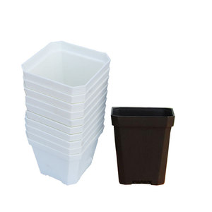 Wholesale factory succulent nursery thickened plastic flower pot