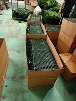 Pots de plafond décoratifs en gazon artificiel d'intérieur vert, tenture murale en plastique de qualité supérieure pour décoration murale d'intérieur
