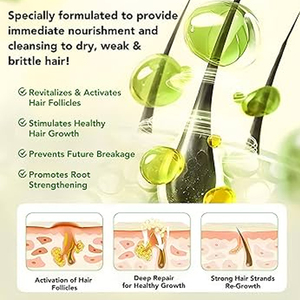 Olio Essenziale <span class=keywords><strong>per</strong></span> <span class=keywords><strong>Capelli</strong></span> alle Erbe con Zenzero, Menta Piperita e Olio di Argan <span class=keywords><strong>per</strong></span> <span class=keywords><strong>Capelli</strong></span> Secchi, Idratante, Lisciante, Purificante <span class=keywords><strong>per</strong></span> il Cuoio Capelluto e Contro la <span class=keywords><strong>Caduta</strong></span> dei <span class=keywords><strong>Capelli</strong></span> - Product Image 6