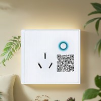 Caractéristiques avancées Dispositif de protection contre les surtensions pour prise murale WiFi intelligente 16A avec fonctionnalités améliorées