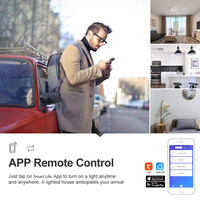 Module de relais Wi-Fi intelligent DIY, interrupteur de relais Wi-Fi intelligent sans fil à distance