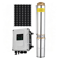 Pompe solaire submersible personnalisée 1300W 4 pouces en acier inoxydable avec moteur AC/DC PMSM et MPPT pour l'irrigation agricole