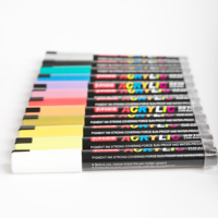 Marqueurs de peinture acrylique 12 couleurs Pointe extra-fine Stylos de peinture
